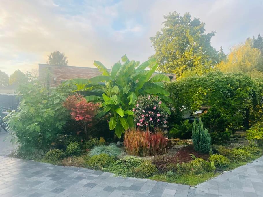 Prachtig Guesthouse Met Gratis Parkeren Maasmechelen Extérieur photo