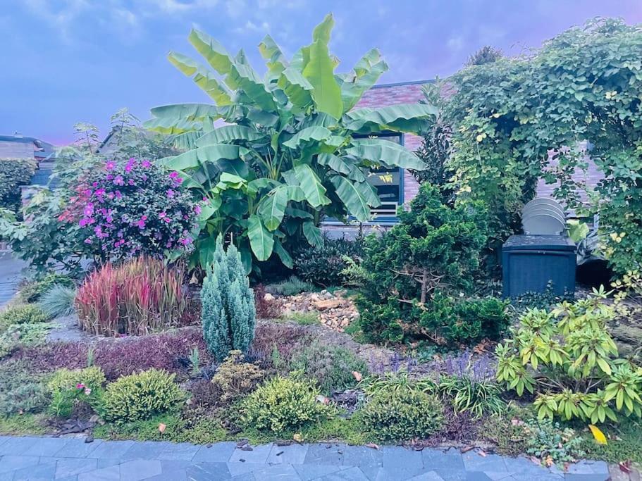 Prachtig Guesthouse Met Gratis Parkeren Maasmechelen Extérieur photo